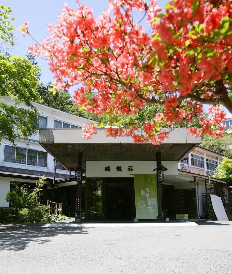 Ichikawa Bekkan Seikanso Hotel Shibukawa Exterior foto